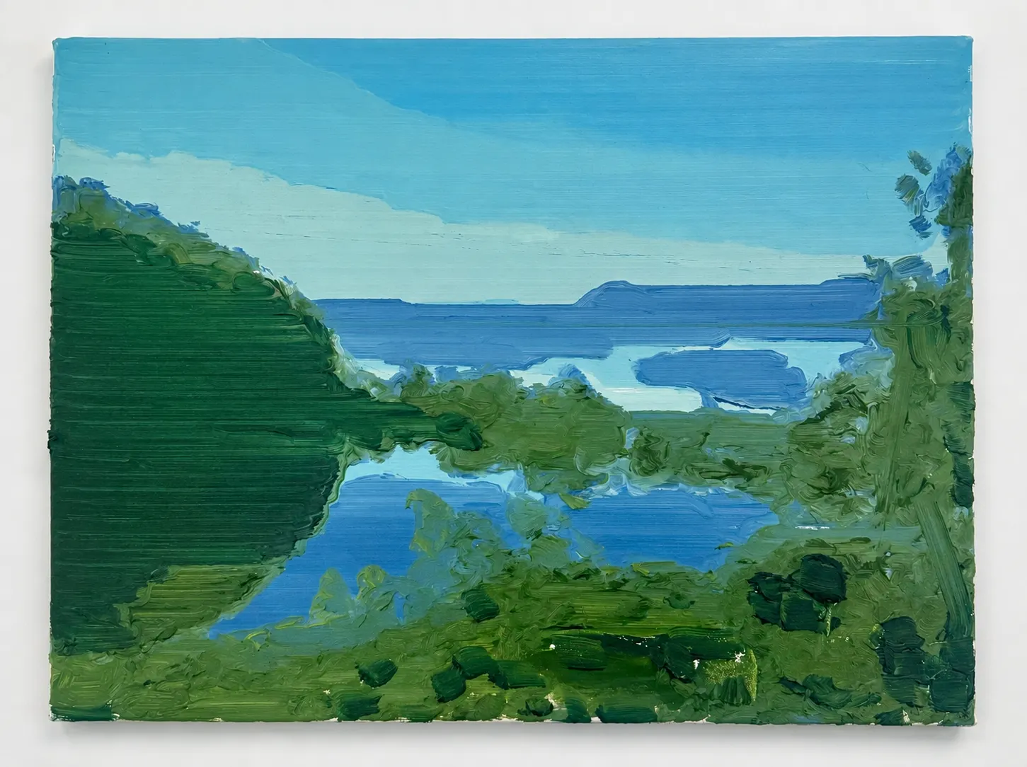 View of Hudson from Bre's Home by Andee Collard