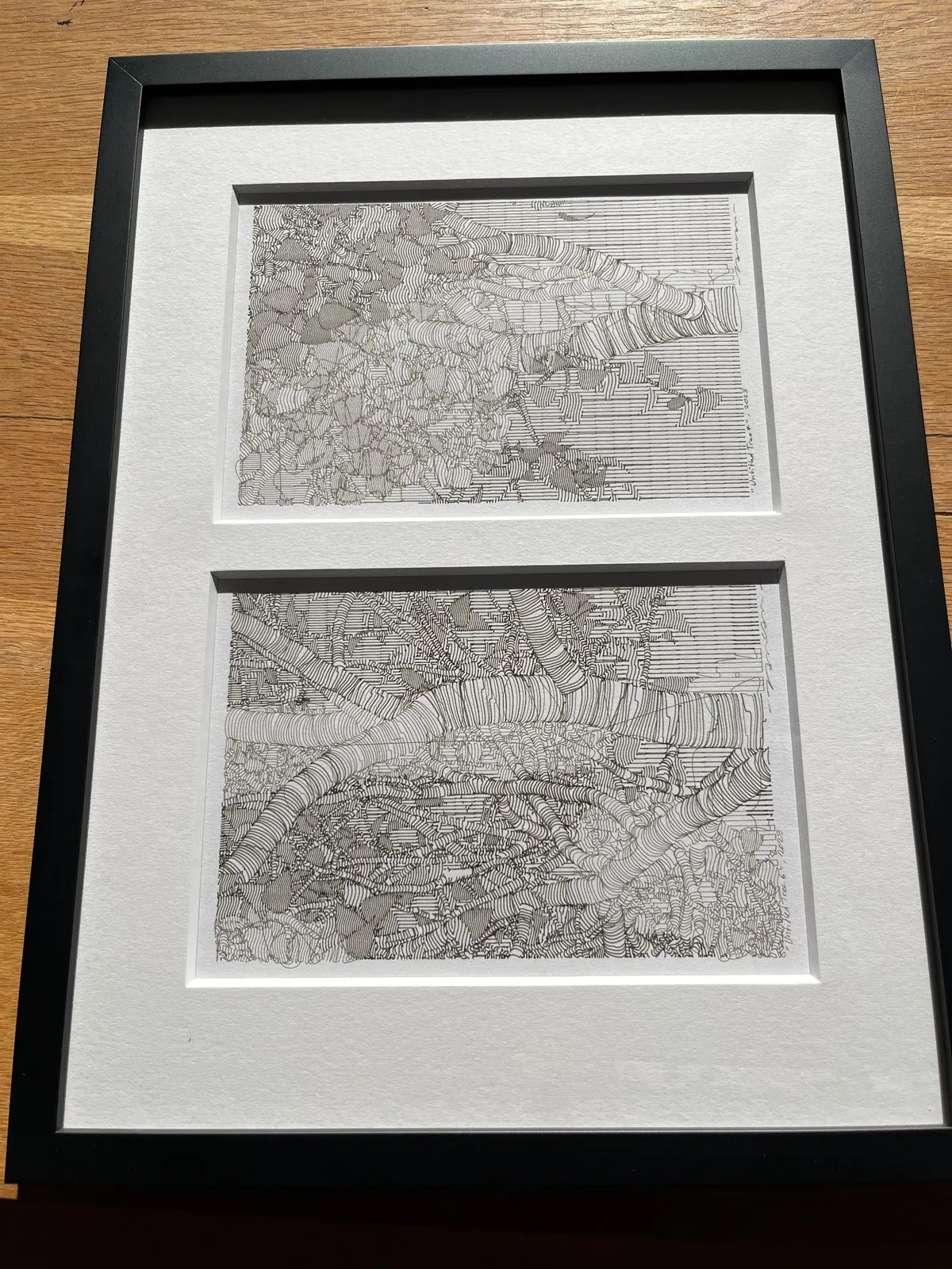Untitled Tree, #6&7 by Zancan