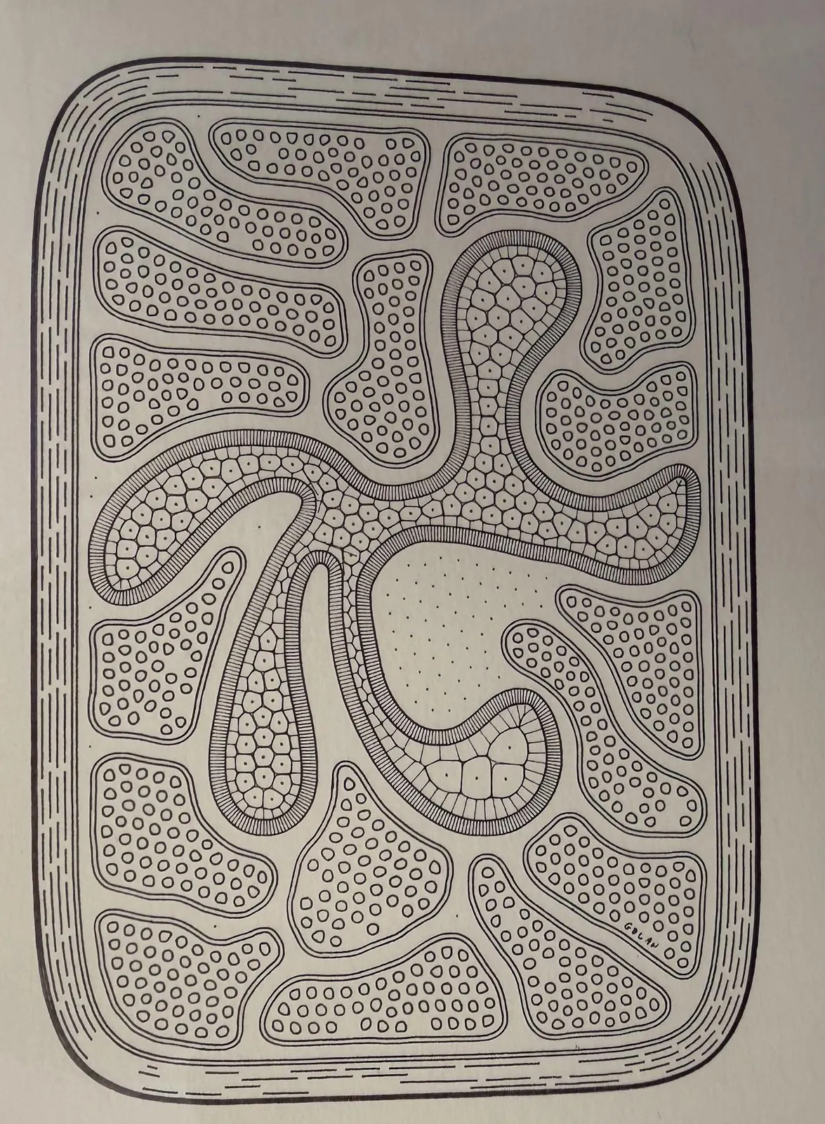 Cytographia - RY1V by Golan Levin
