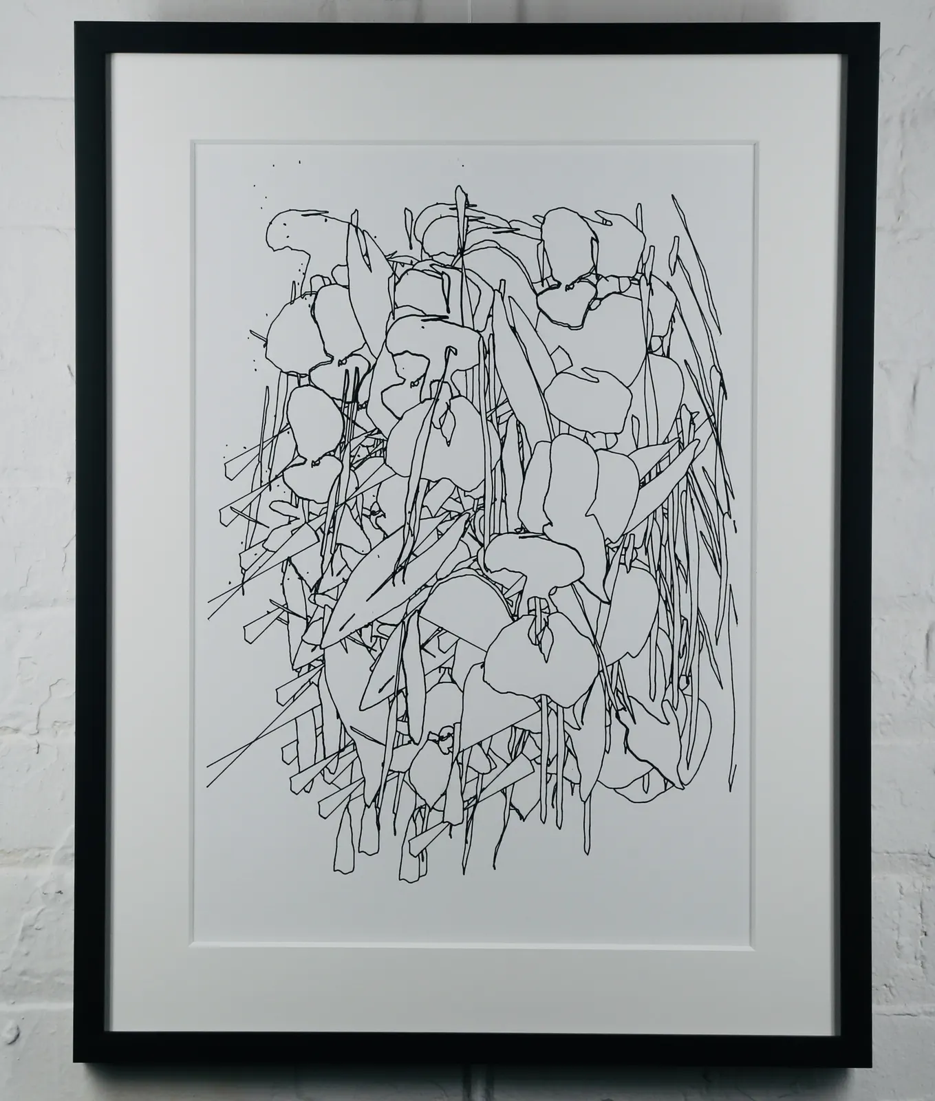 2 Himalayan Balsam Sampler Drawing (1 &2) — part 1 by Andee Collard