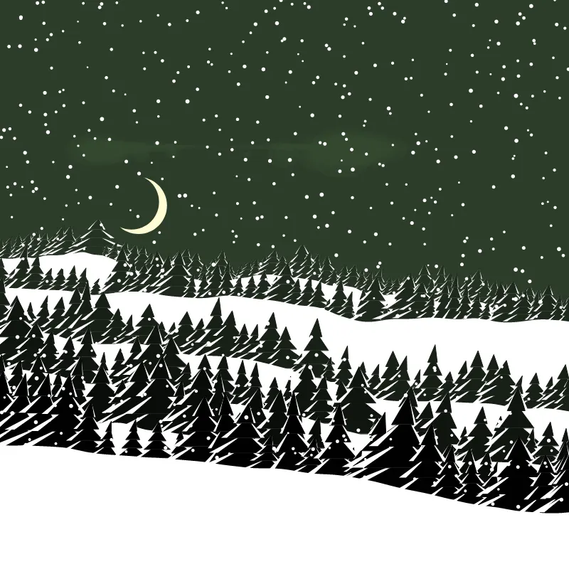 Winterland #96 by TeNinEight