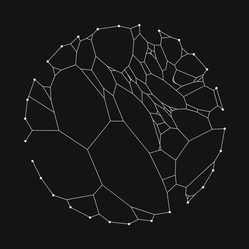 Elastic Web #27 by inconvergent