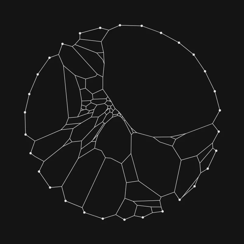 Elastic Web #86 by inconvergent
