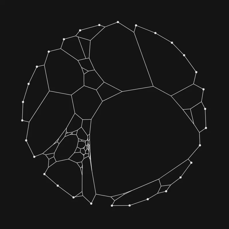 Elastic Web #221 by inconvergent