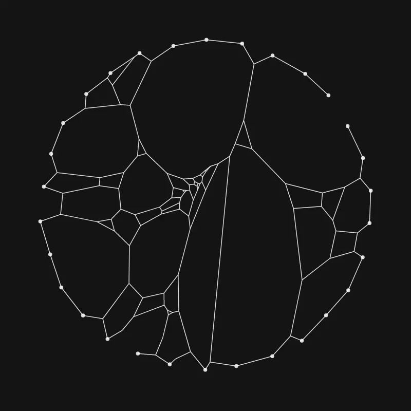Elastic Web #265 by inconvergent