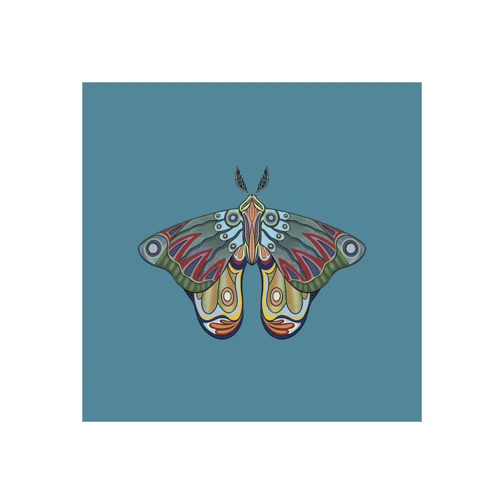 The Moth Experiment #26 by Malavika Reddy