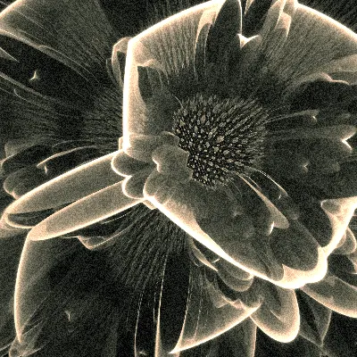 Electron Microscopy #46 by Kali