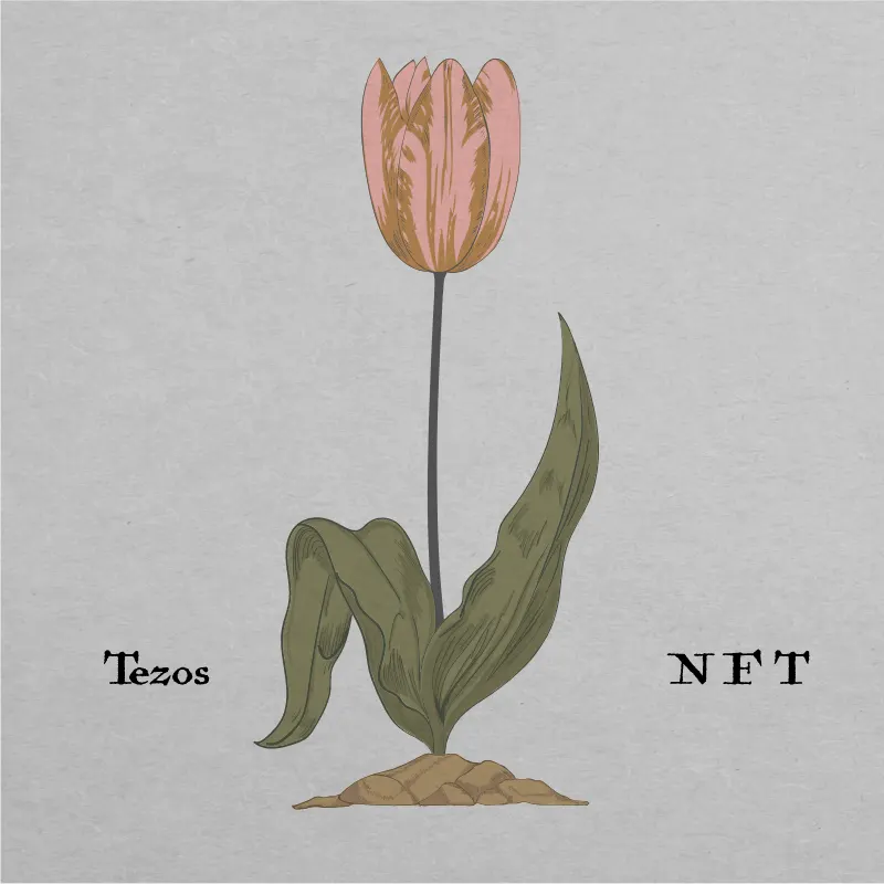 Tulip Fever #1 by josemiguel.tez