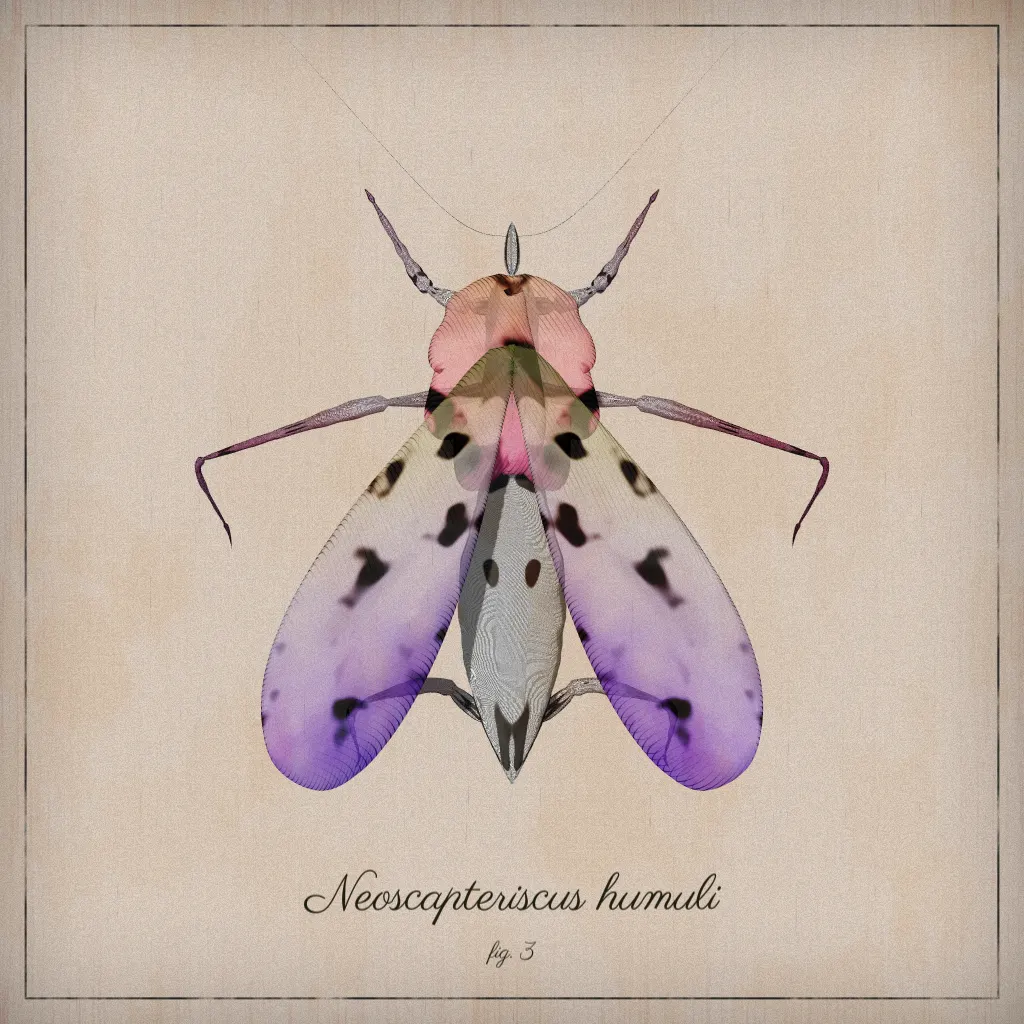ProcGen Entomology #481 by Christophe "Ulu" Choffel