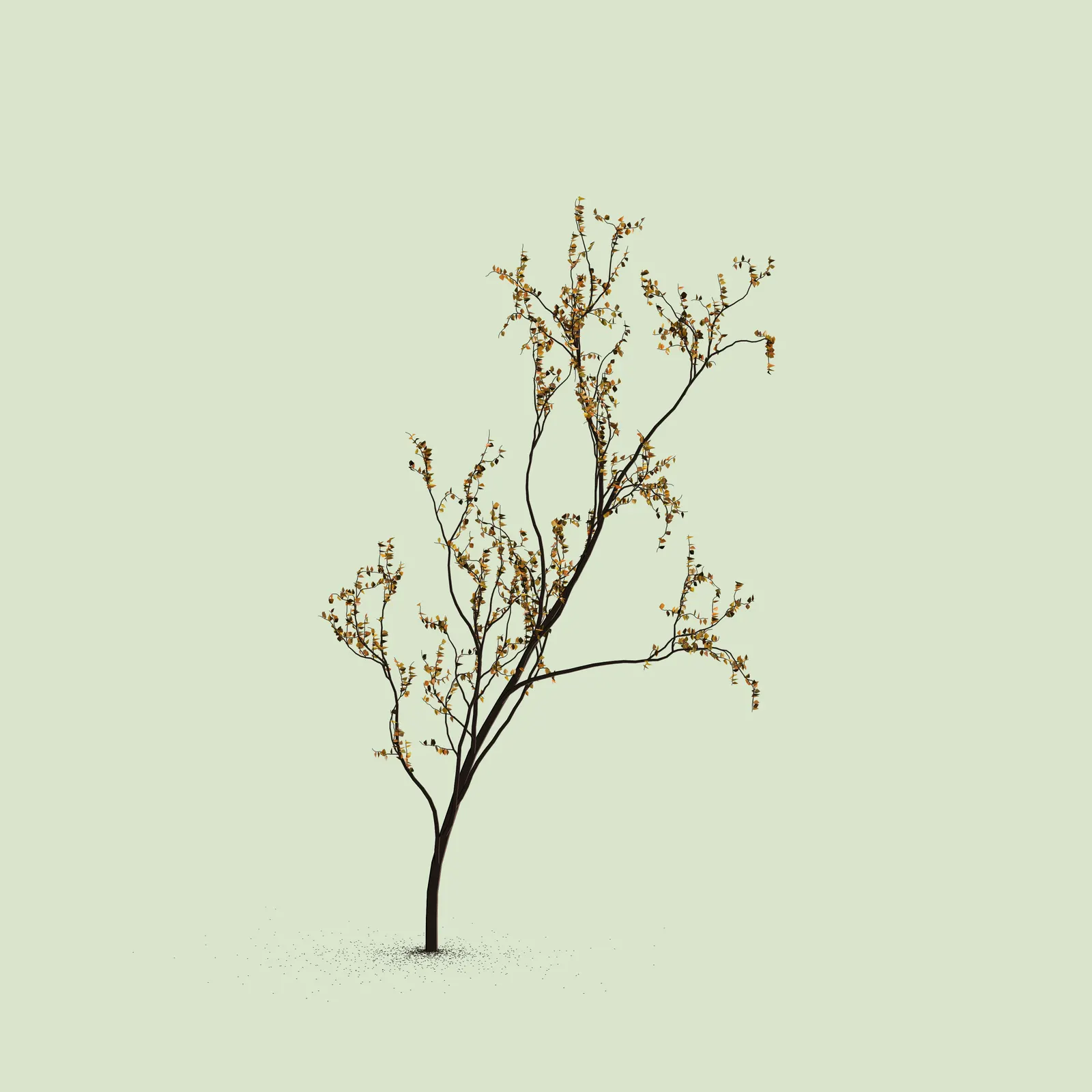 Little Trees #209 by Brian Gawlik