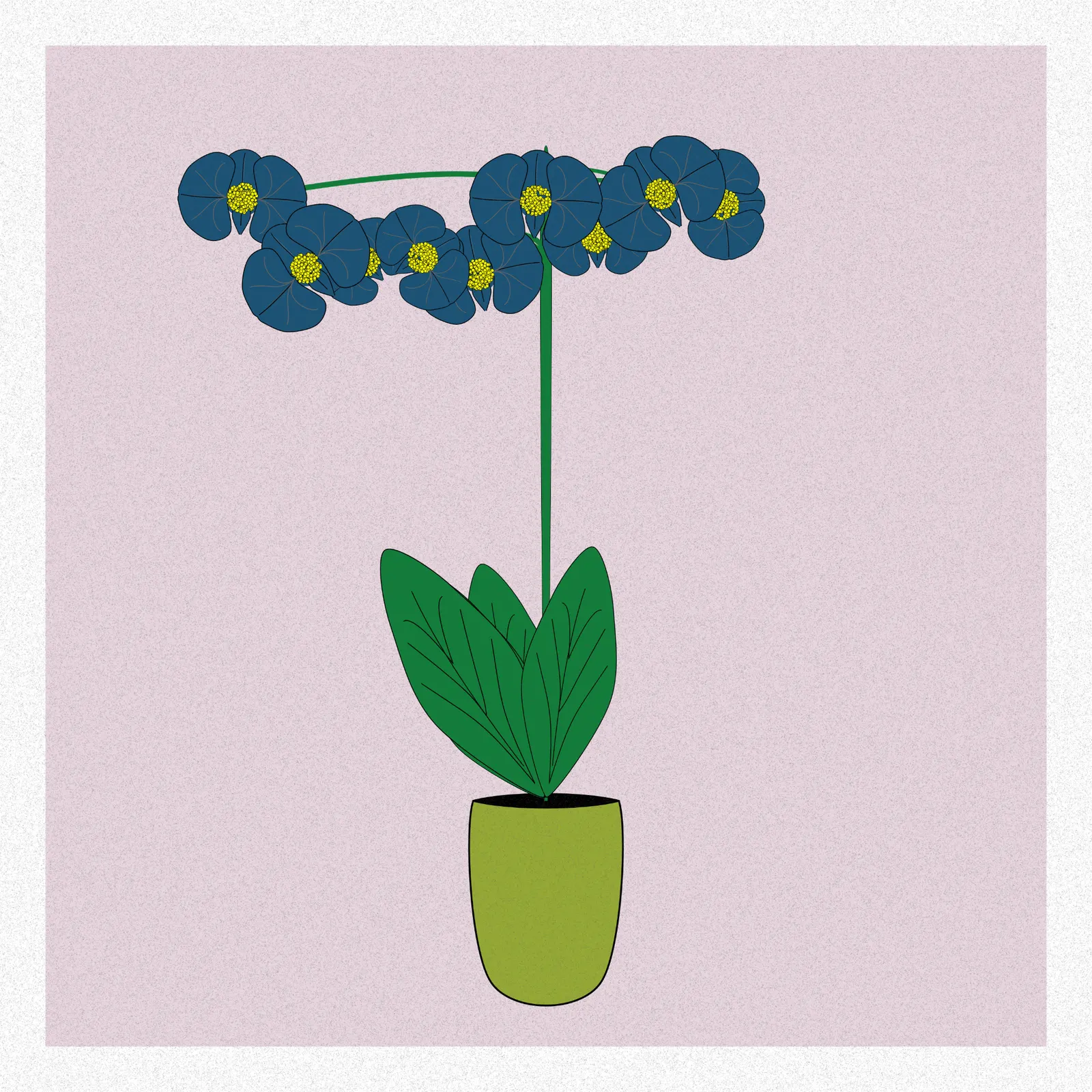 Flowers #25 by Gray Team