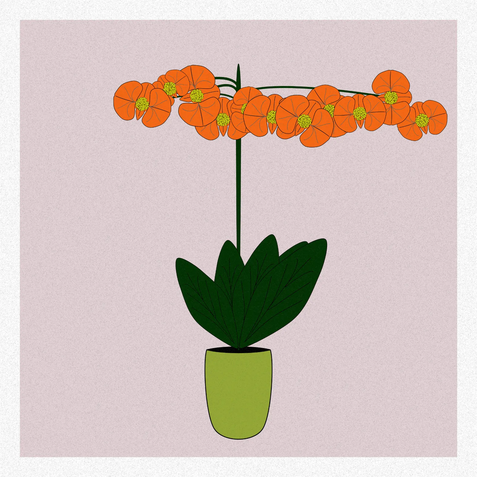 Flowers #181 by Gray Team