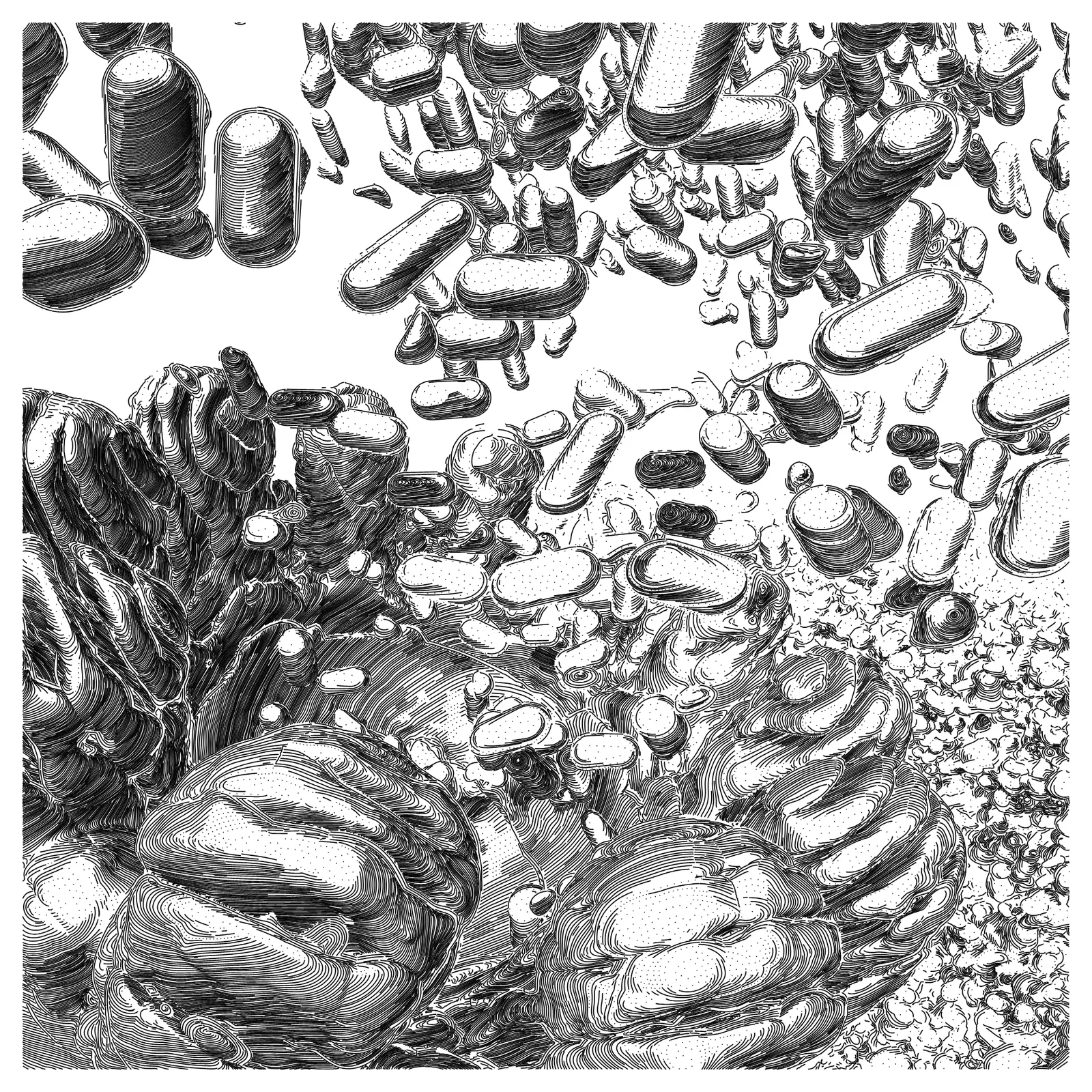 Release #79 by monokai