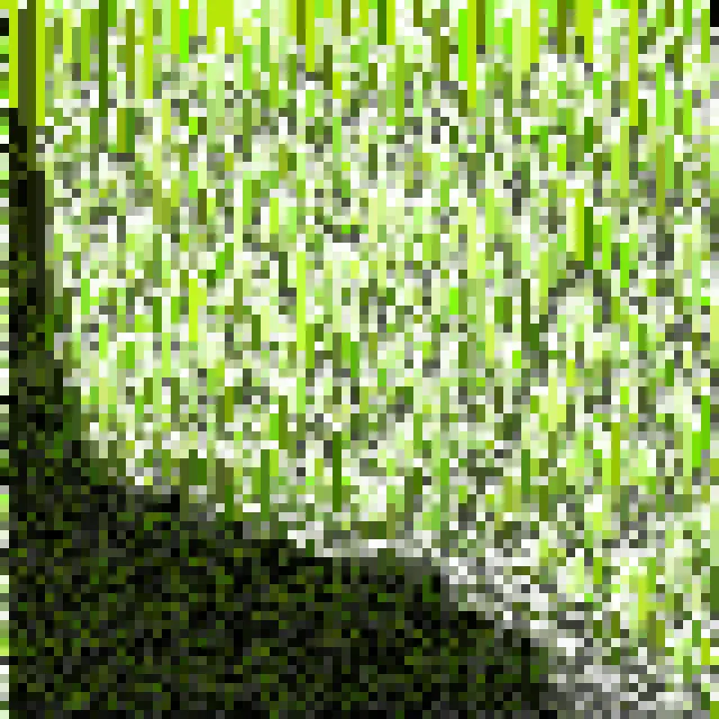 order_Image.output #5 by uesYn