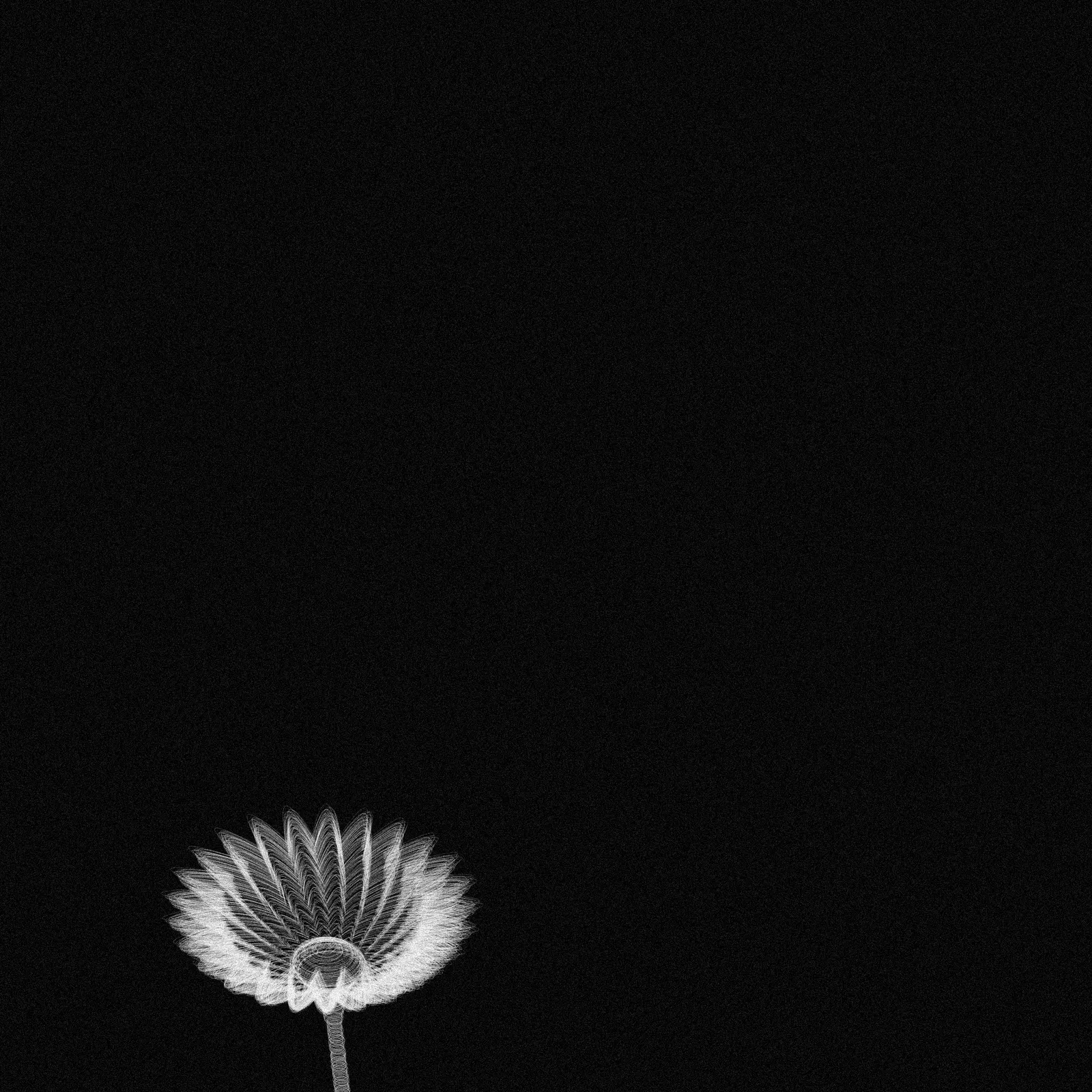 Code Flowers #75 by Ezaex