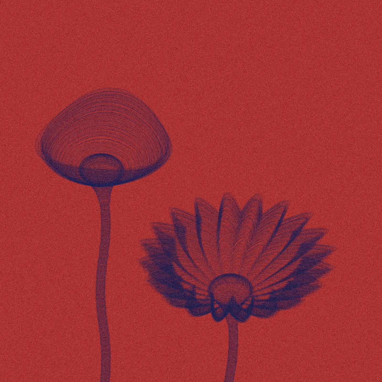 Code Flowers #78 by Ezaex