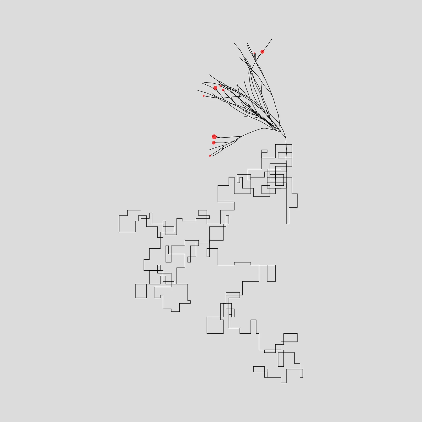 Algorithmic Tree #8 by Gal Sasson