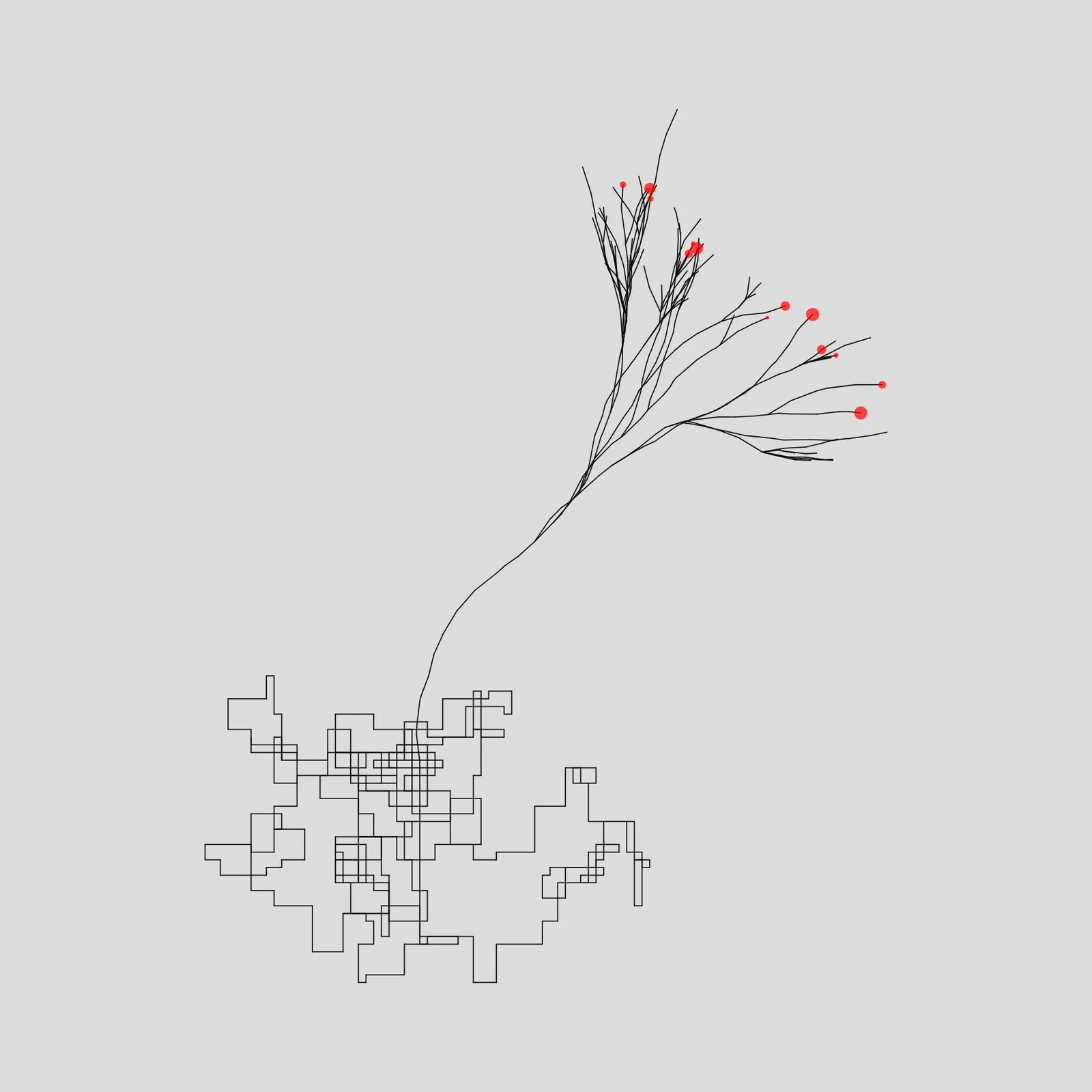 Algorithmic Tree #14 by Gal Sasson