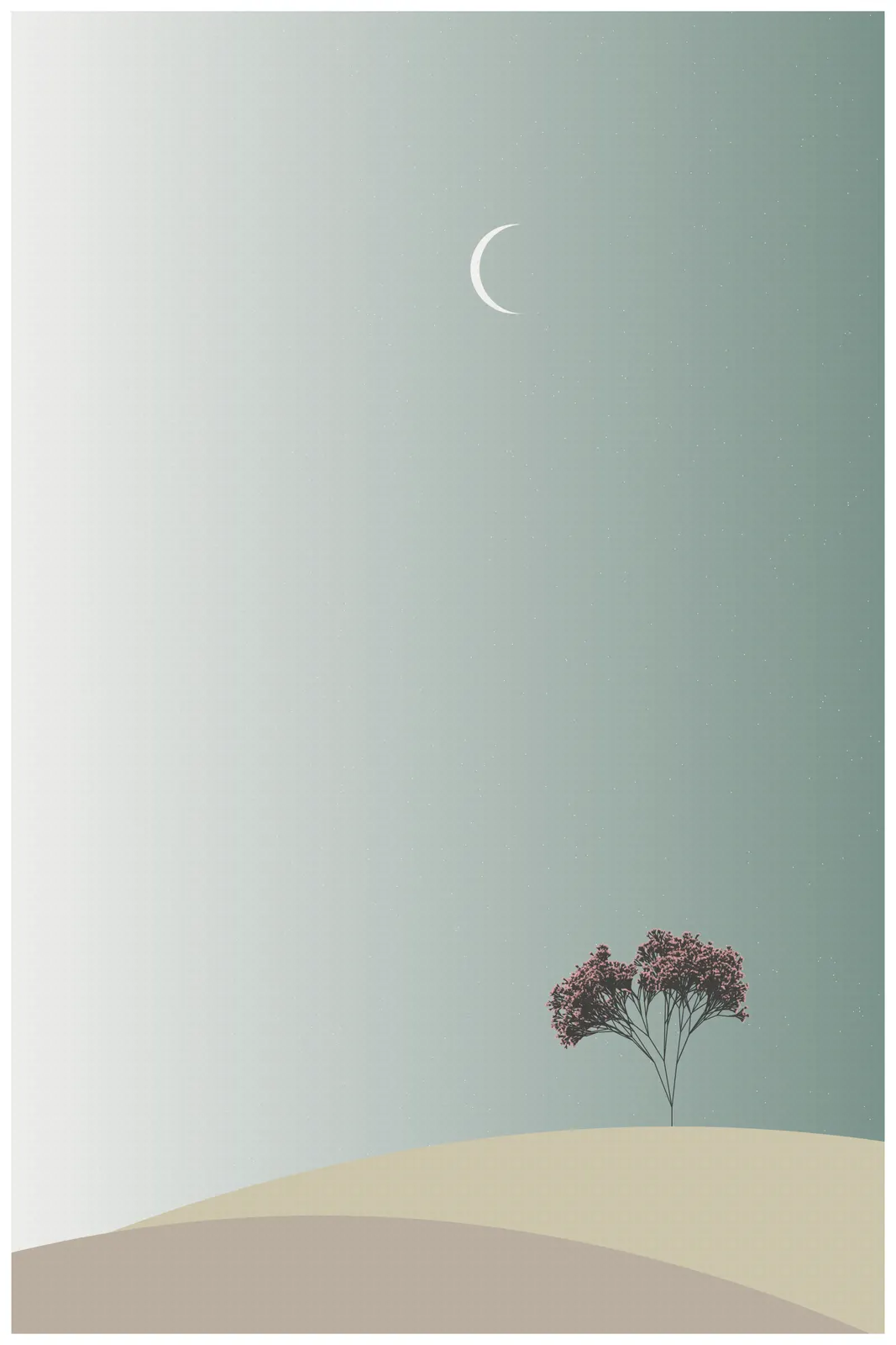 Ecos de Calma #120 by Fernando Cabral