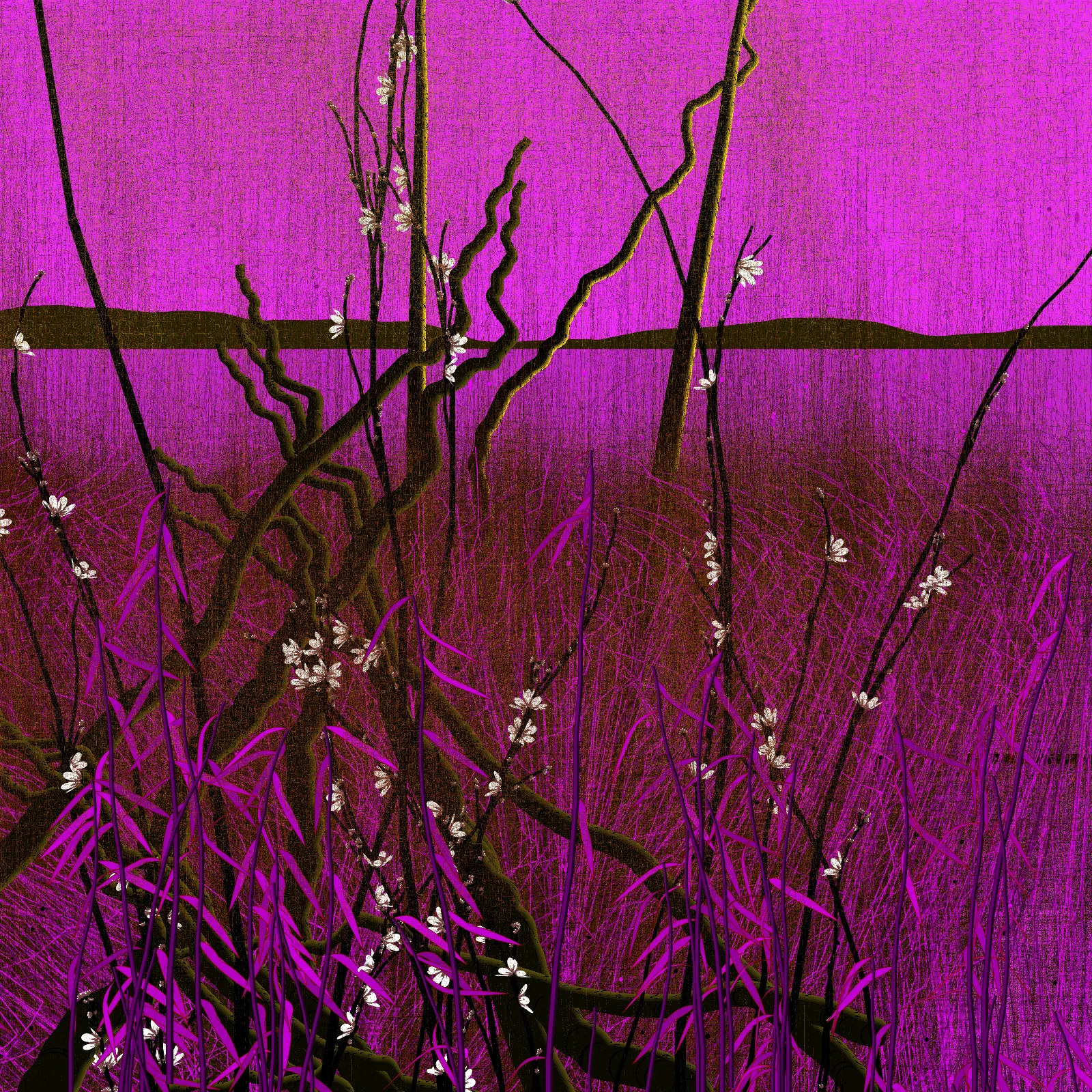 Dry twigs #17 by Patricia Rocha