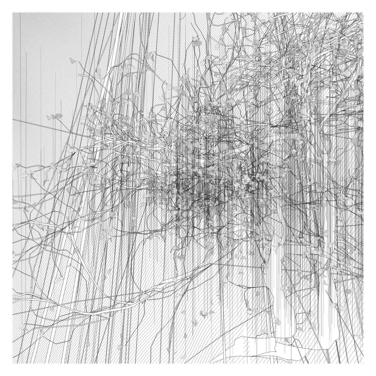 A Bugged Forest #105 by Zancan