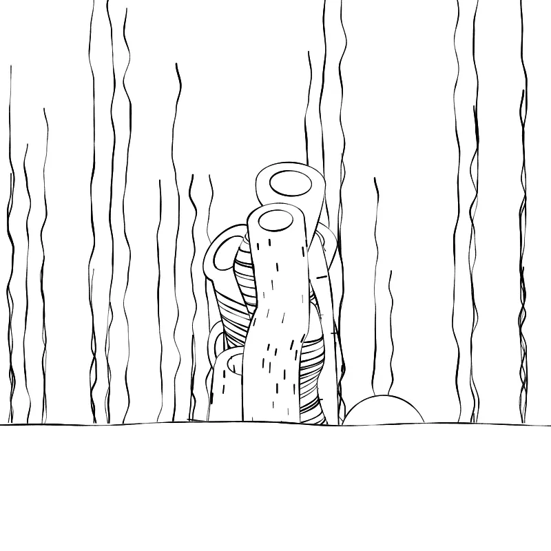 The Good Corals #74 by Loosh