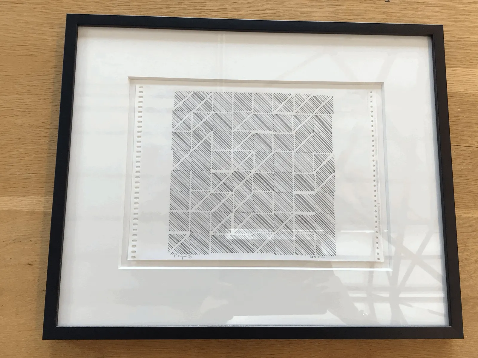 RAM 8 V. I, plotter drawing by Edward Zajec
