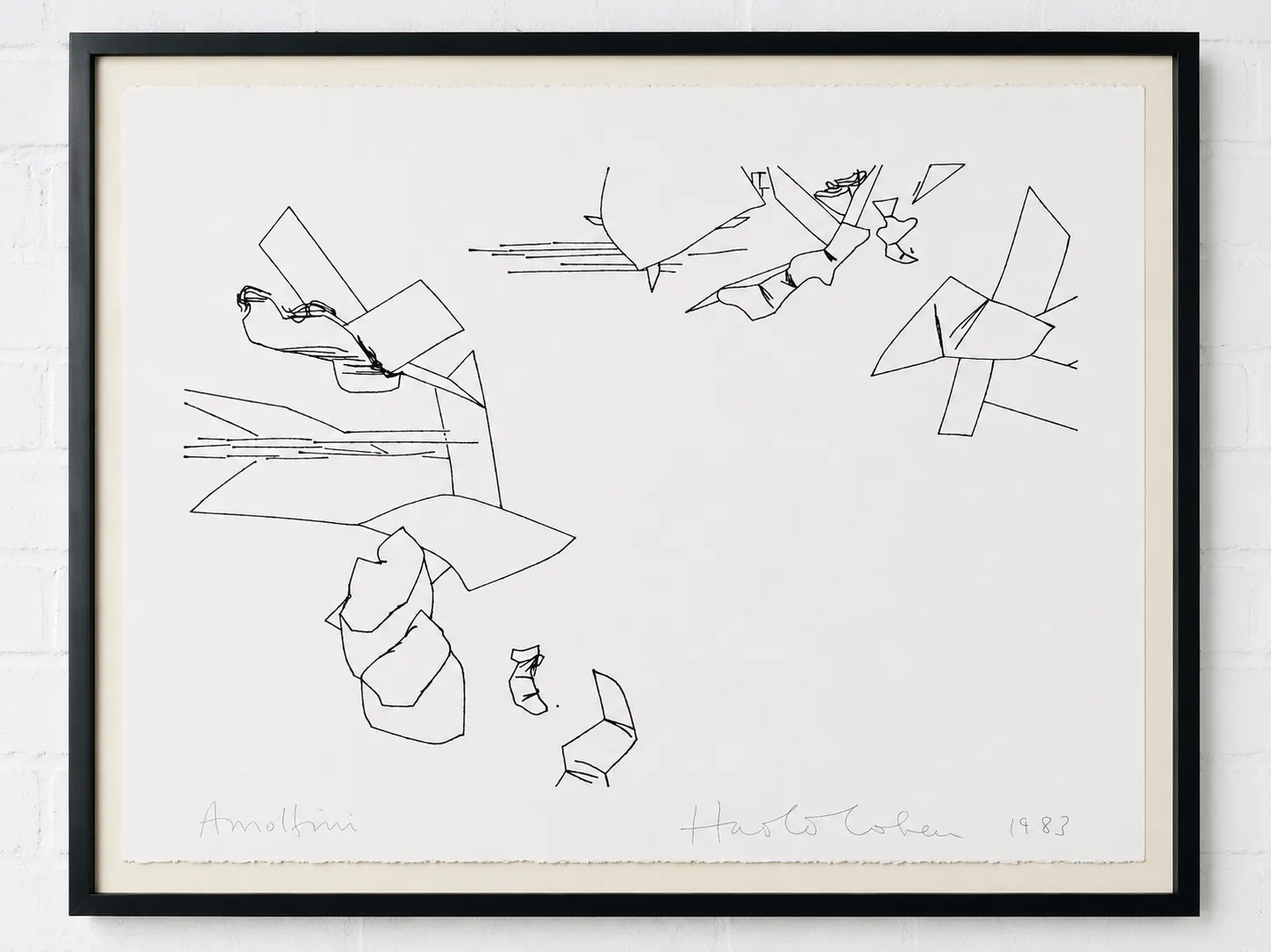 Arnolfini plotter drawings, 2 of 2 by Harold Cohen