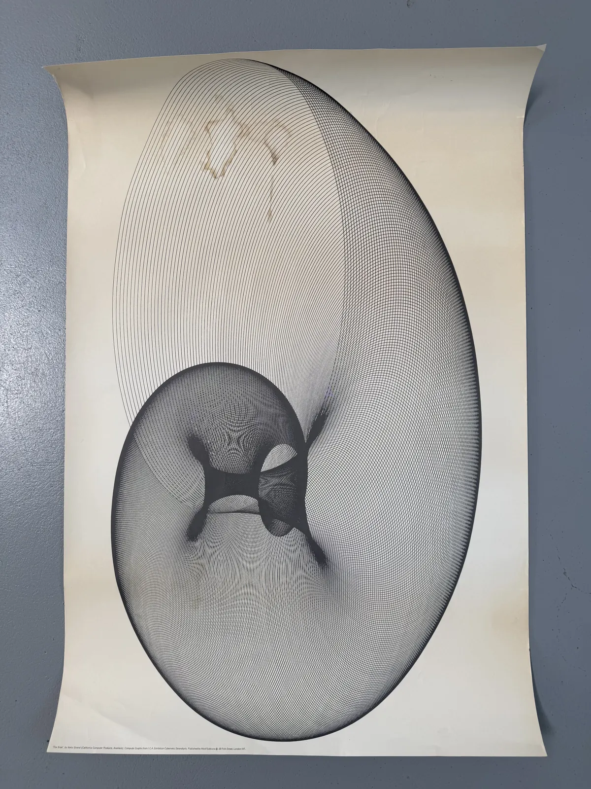 The Snail by Kerry Strand