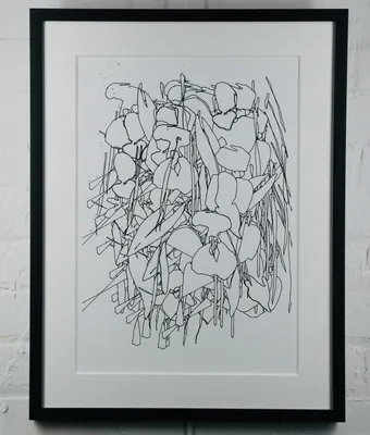 2 Himalayan Balsam Sampler Drawing (1 &2) — part 1