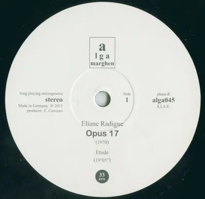 Additional view of Opus 17