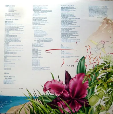 Additional view of Stevie Wonder's Journey Through The Secret Life Of Plants