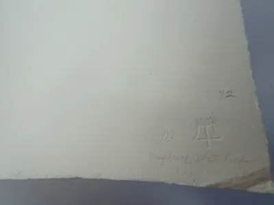 Additional view of Irregular Pentagon, Tamarind 70-106