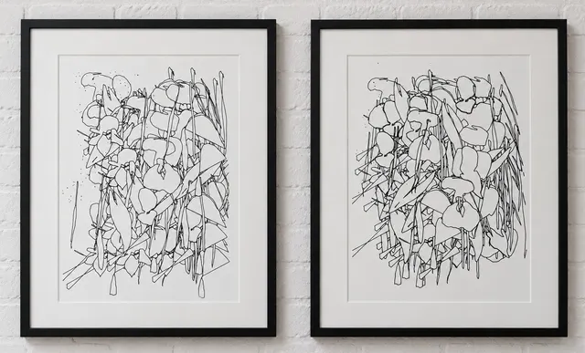 2 Himalayan Balsam Sampler Drawing (1 &2) — all panels together